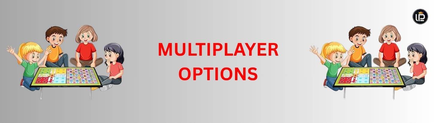 Multiplayer Options